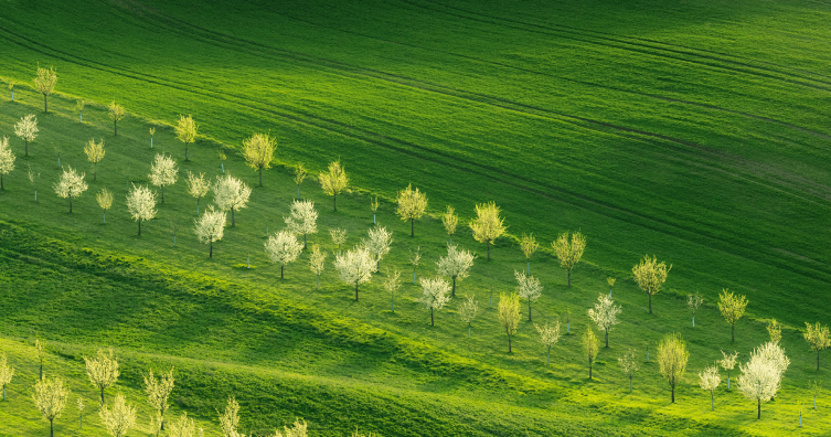 Nová stezka v lokalitě U Herhulce je hotová a připravena k užívání.