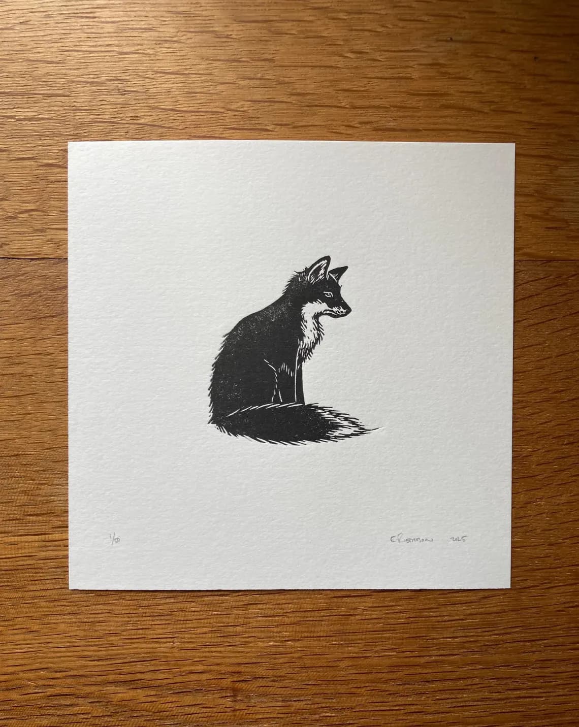 Publikovaný článek 1